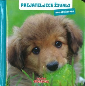 Prijateljice živali, Domače živali