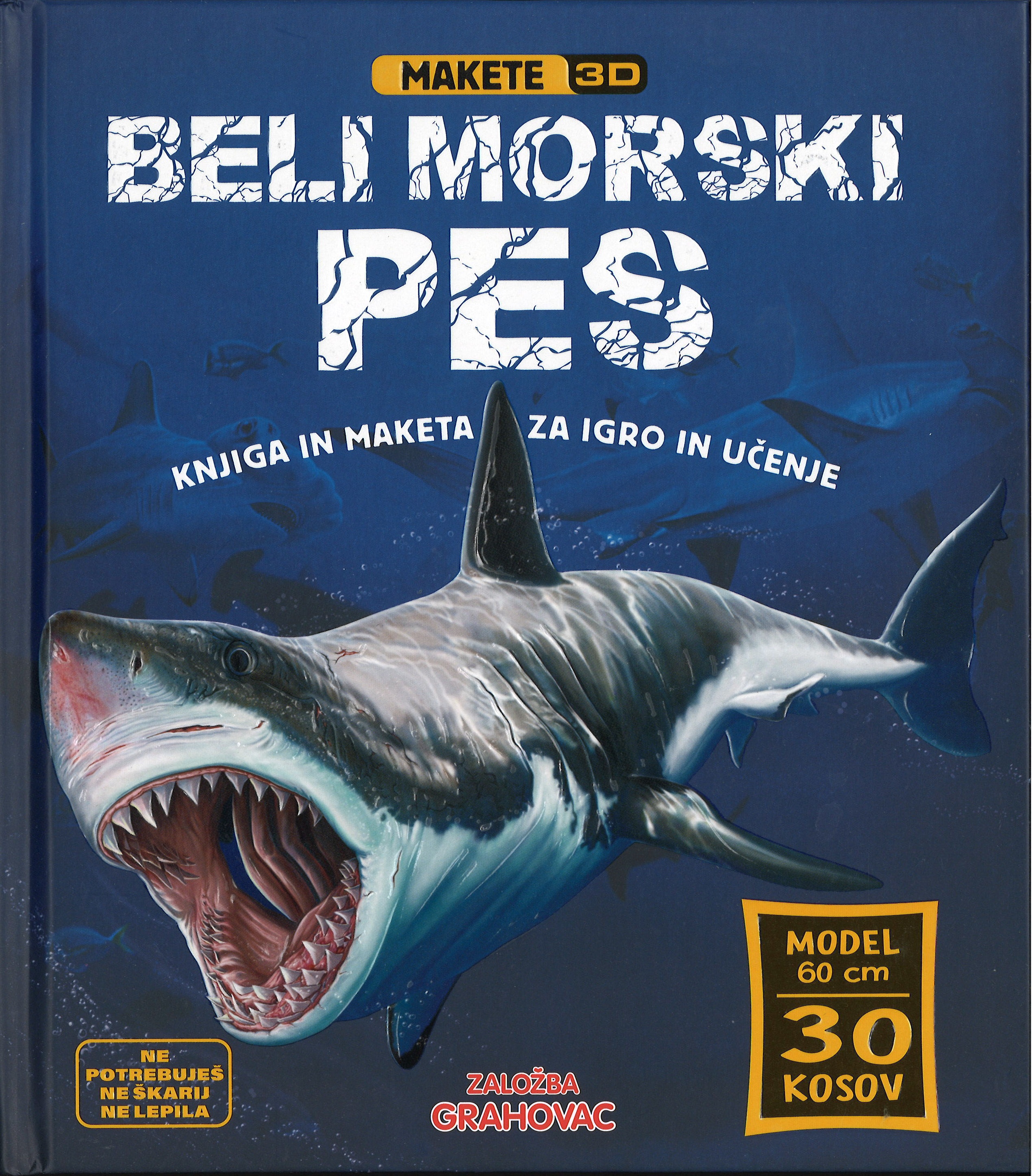 Makete 3D, Beli morski pes