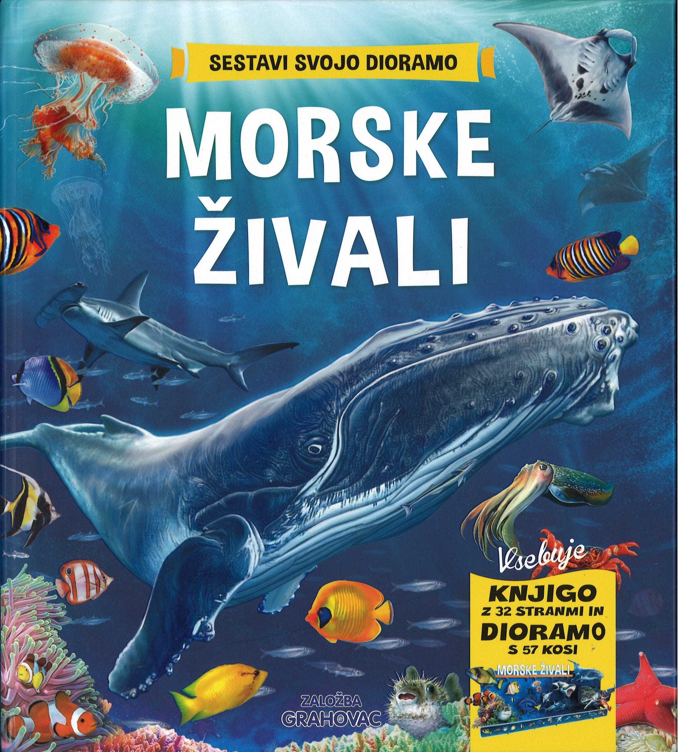 Sestavi svojo dioramo, Morske živali