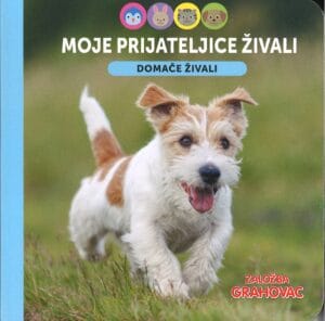 Moje prijateljice živali, Domače živali
