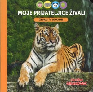Moje prijateljice živali, Živali v divjini