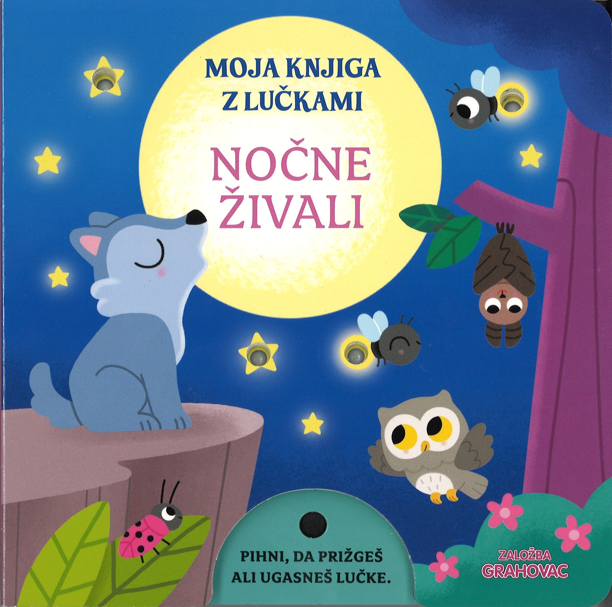 Moja knjiga z lučkami, Nočne živali